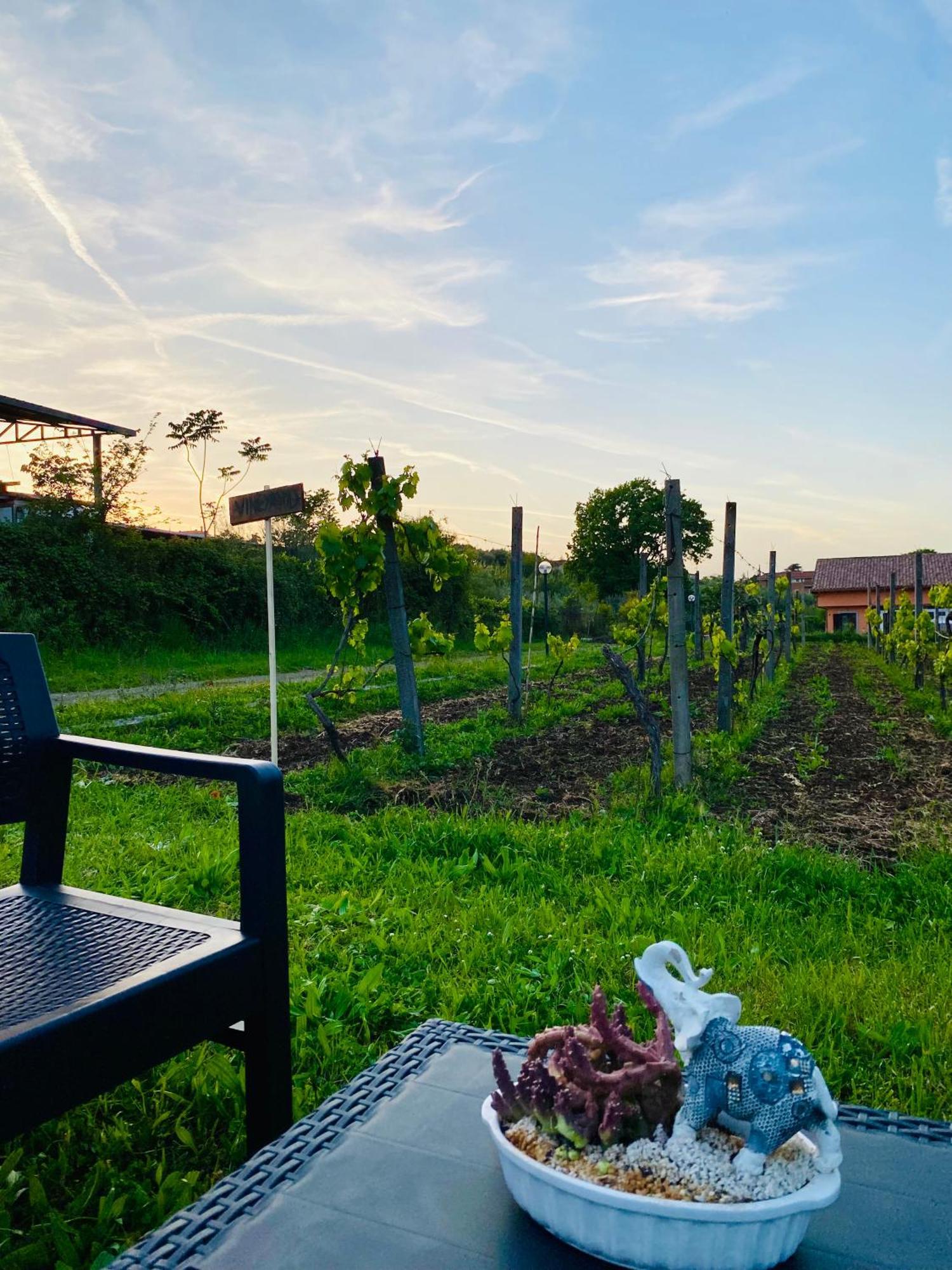 Villa Bubu, Appartamento Country-Chic Rom Exterior foto